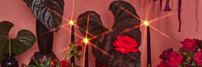 innocentcrush's profile banner image