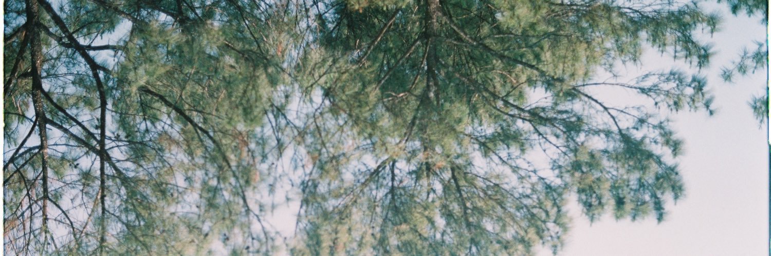 nookofdreams's profile banner image
