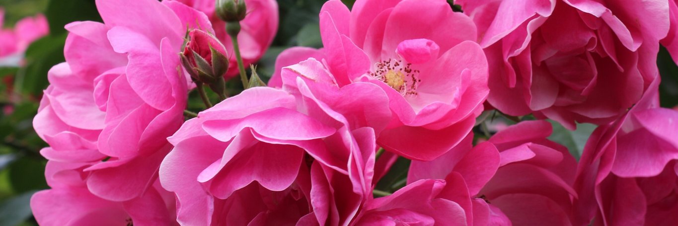 BeautyCaseBlog's profile banner image