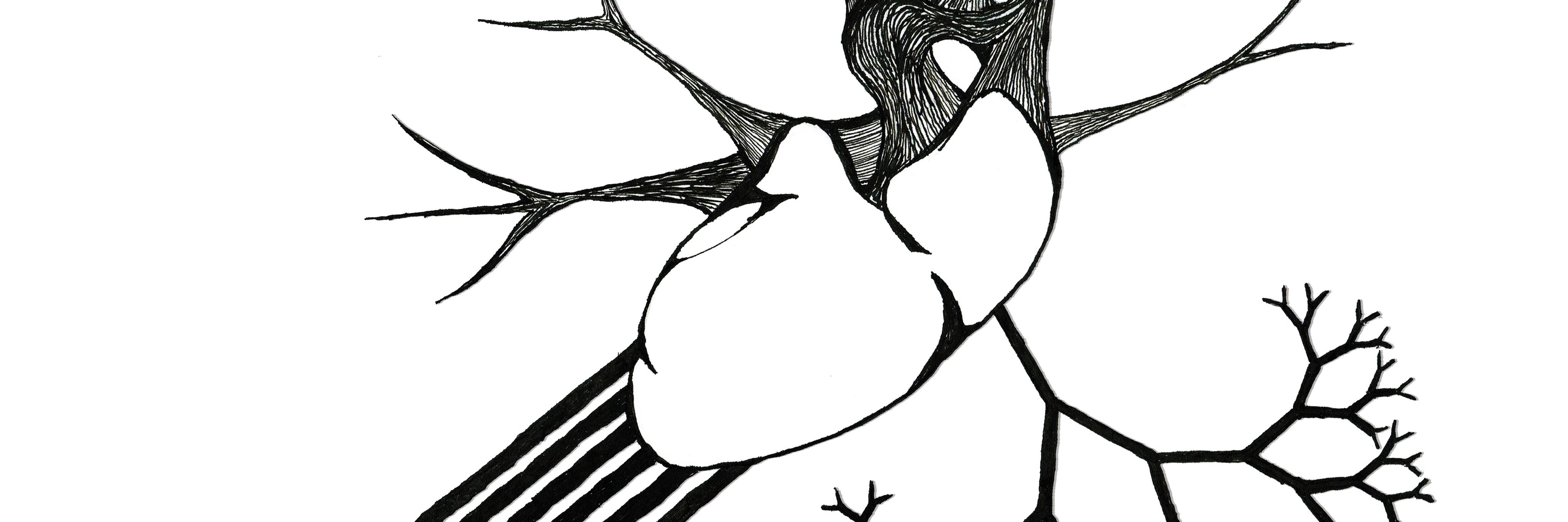 pedrodomus's profile banner image