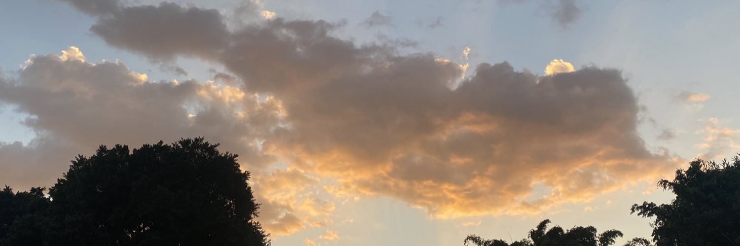 Bruno_Castro4's profile banner image