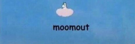 Nolwenn ✨ banner