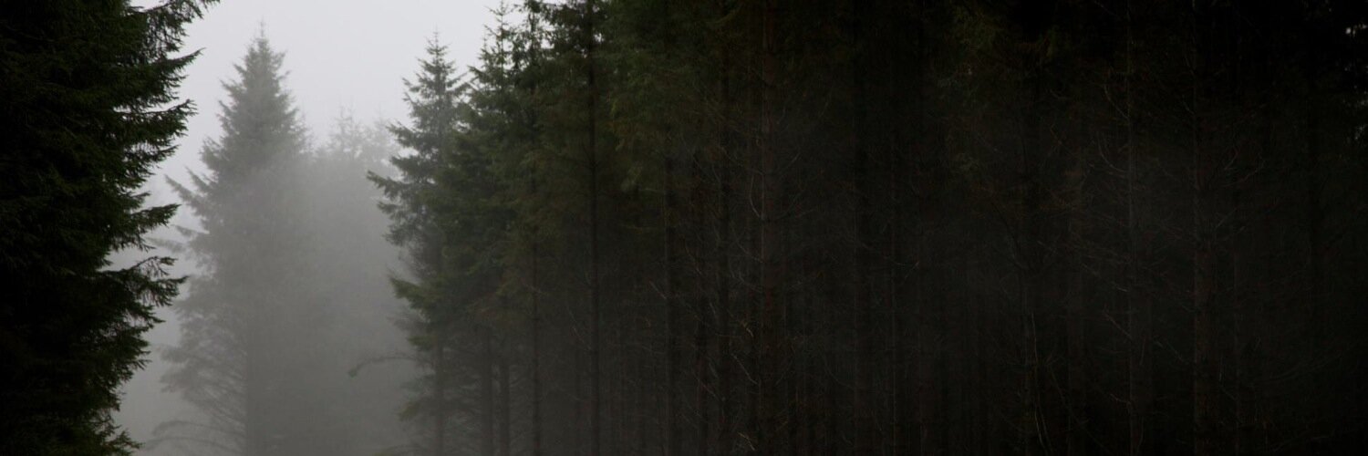 MattPidala's profile banner image