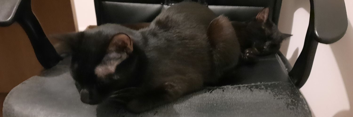 Desode2's profile banner image