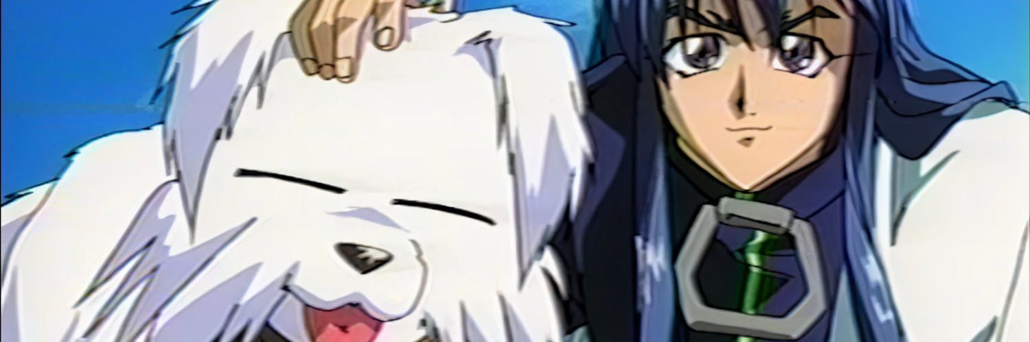 metateller's profile banner image