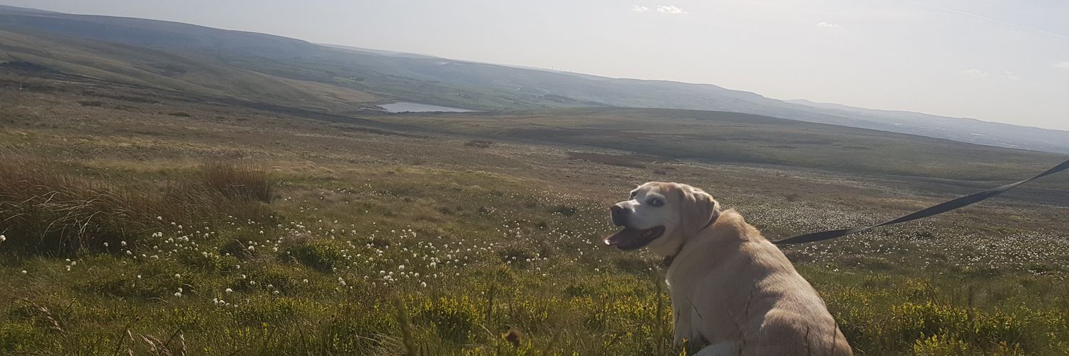 LeahSmits's profile banner image