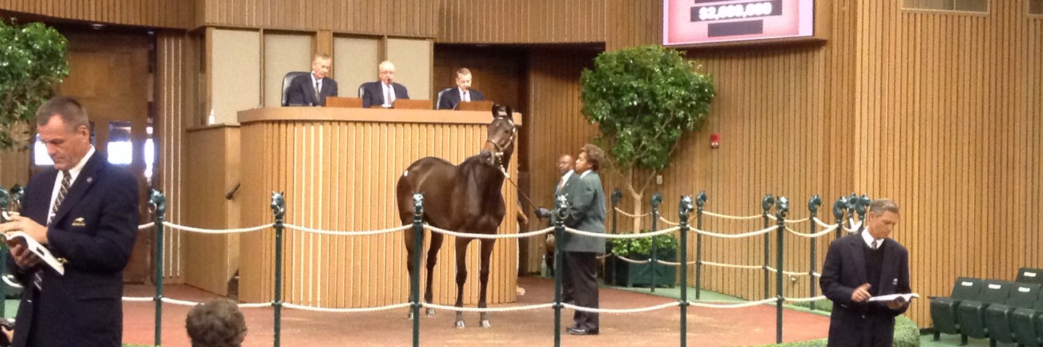 Barouche Stud Ire banner