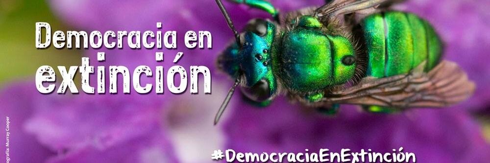 News_Ecuador's profile banner image