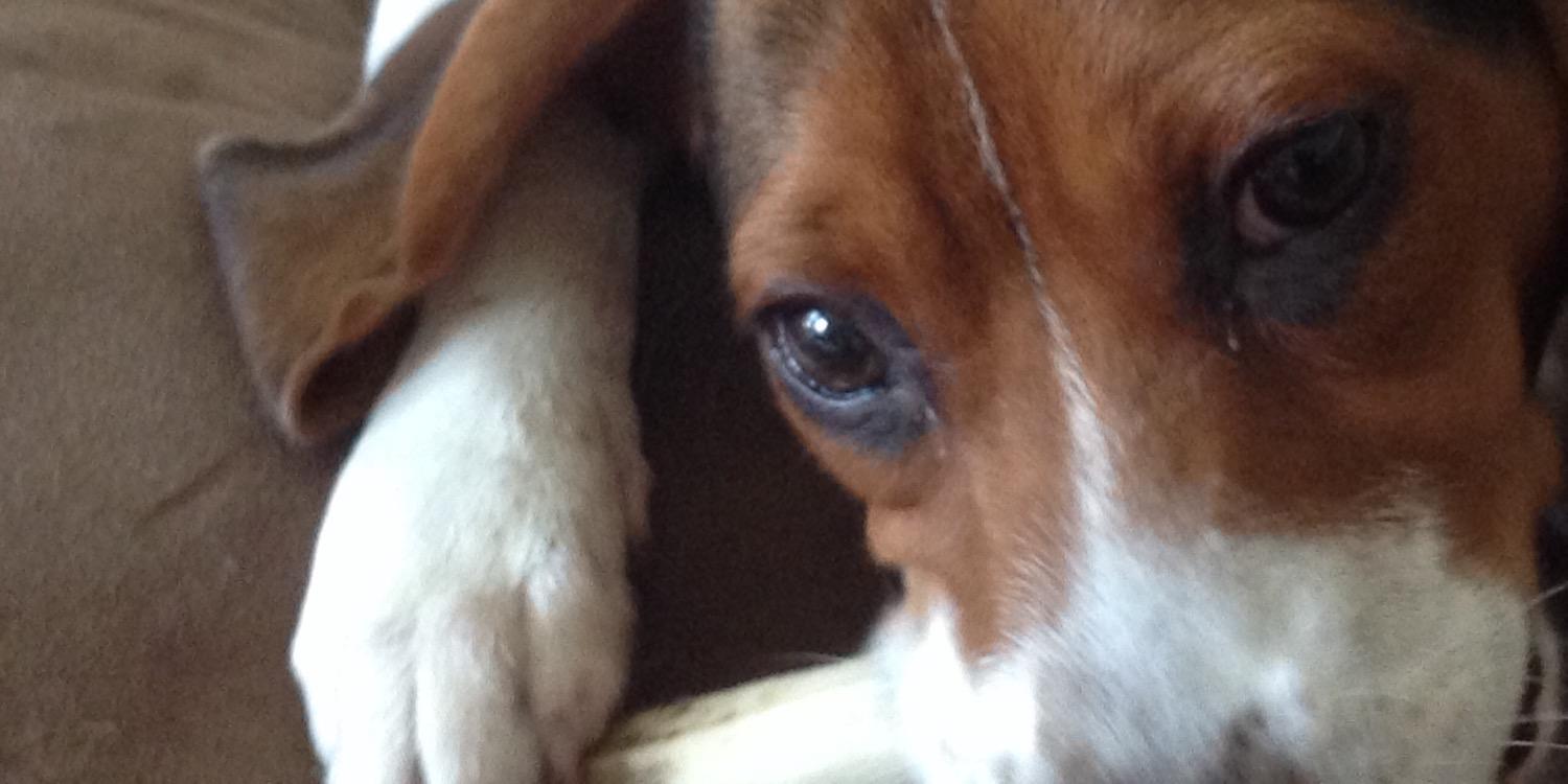 sallyac1027's profile banner image