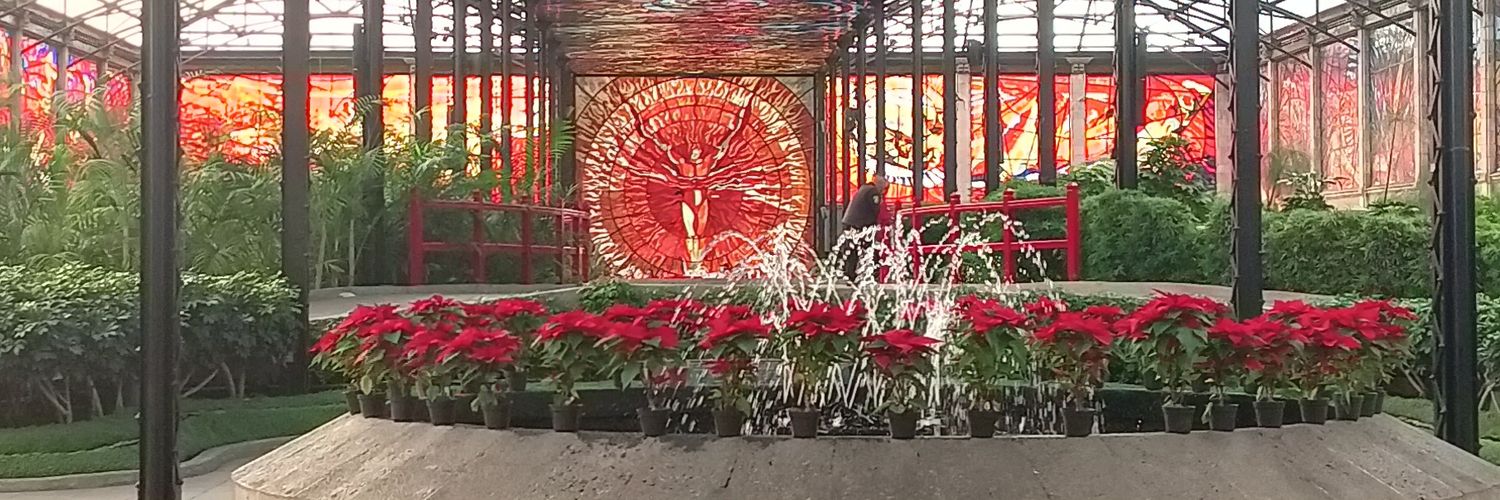 Fernando Martinez 🇵🇸 banner