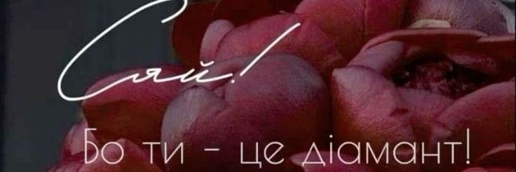 Groovy_Girl17's profile banner image
