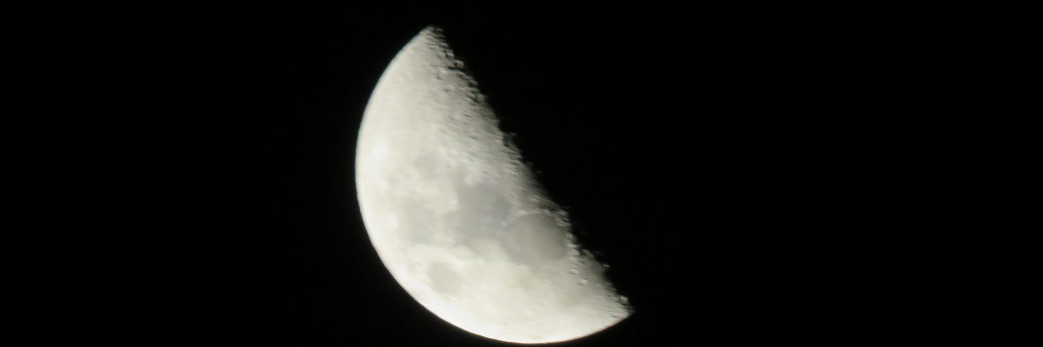 caarou_b's profile banner image