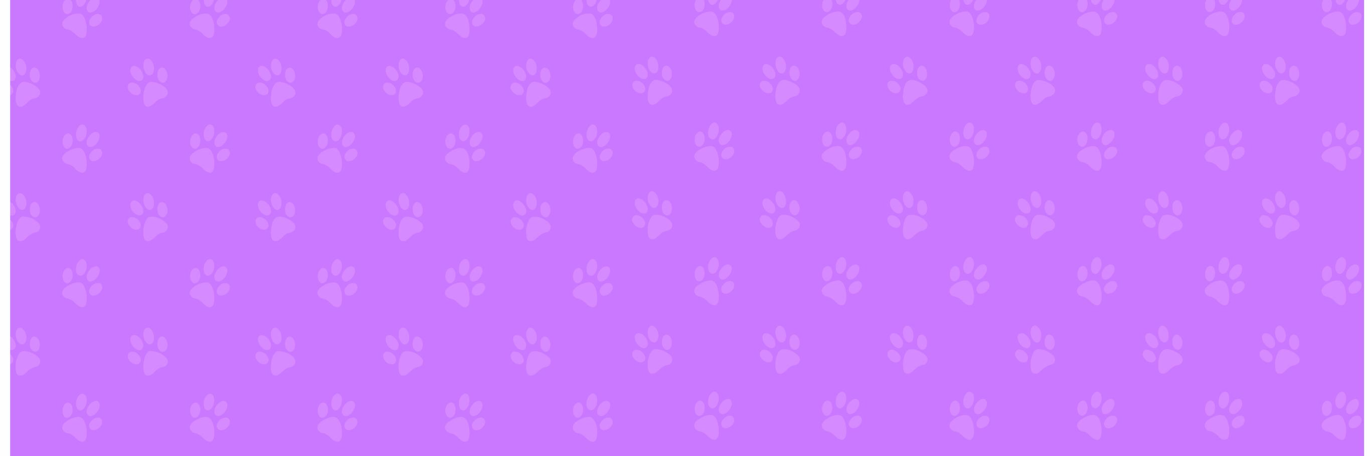 wagsrobotics's profile banner image