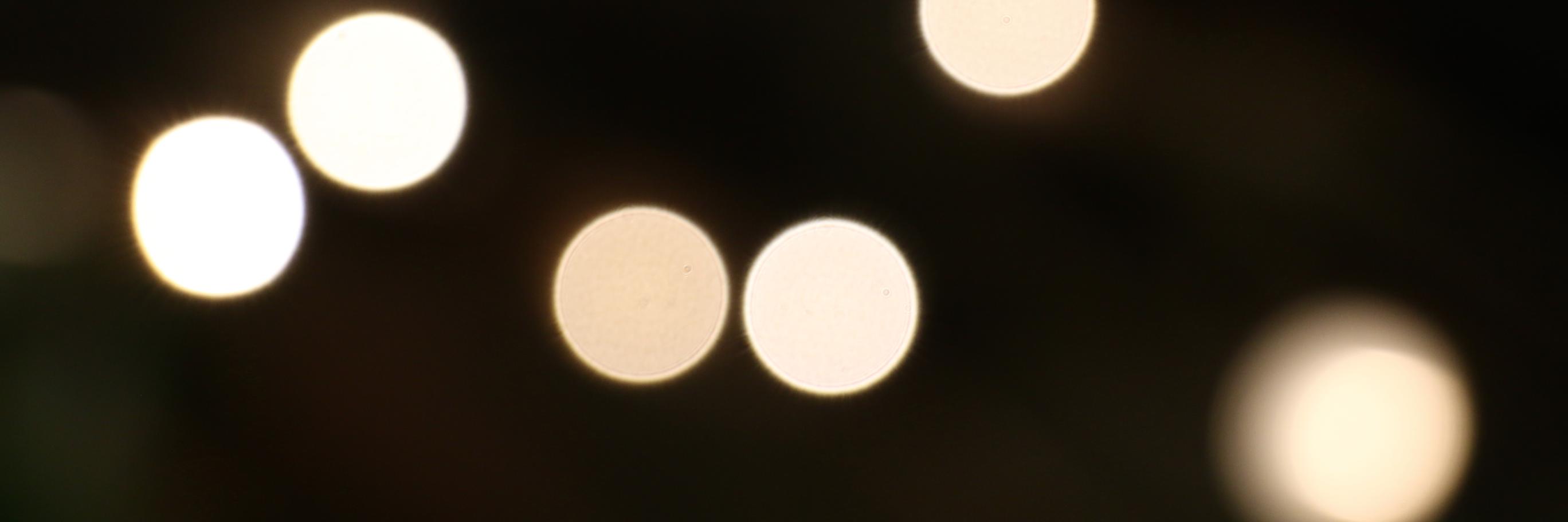 Mommerath's profile banner image