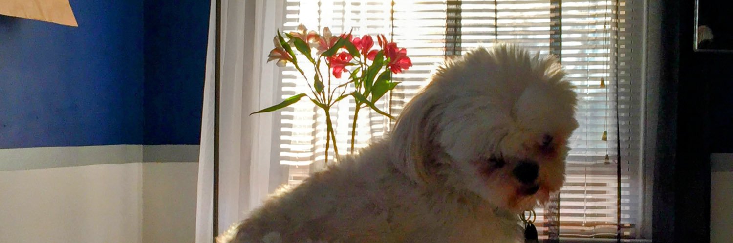 tabithataylor__'s profile banner image