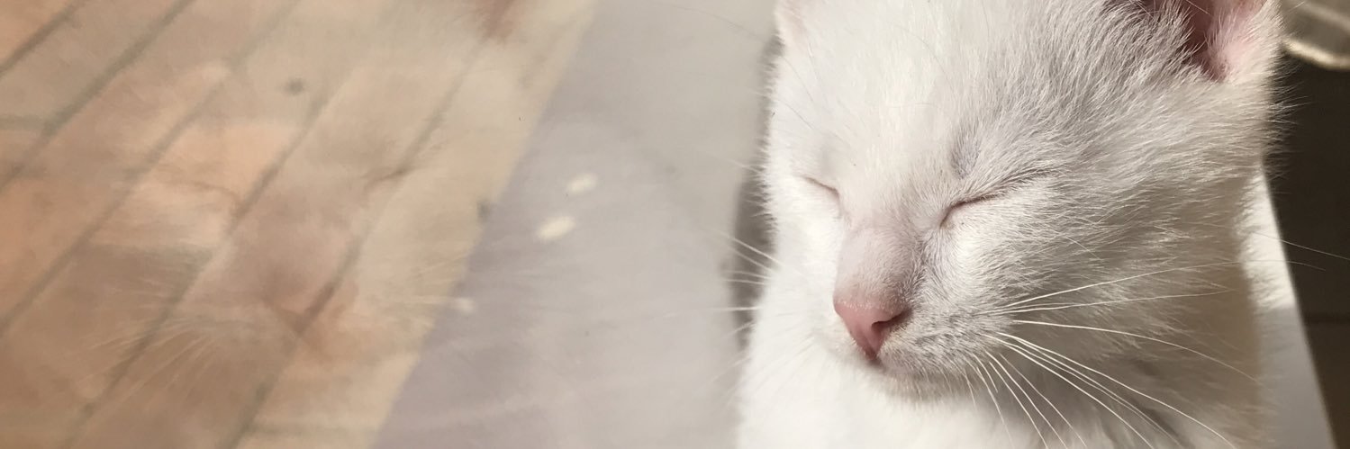 theaudacititty's profile banner image