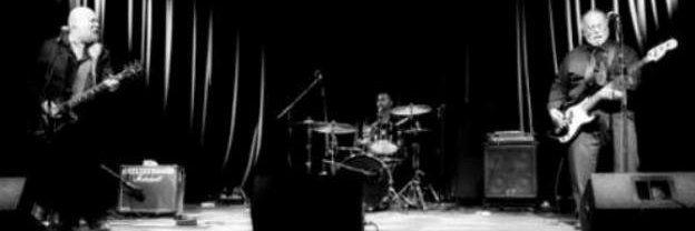 BILL DURST Musician banner