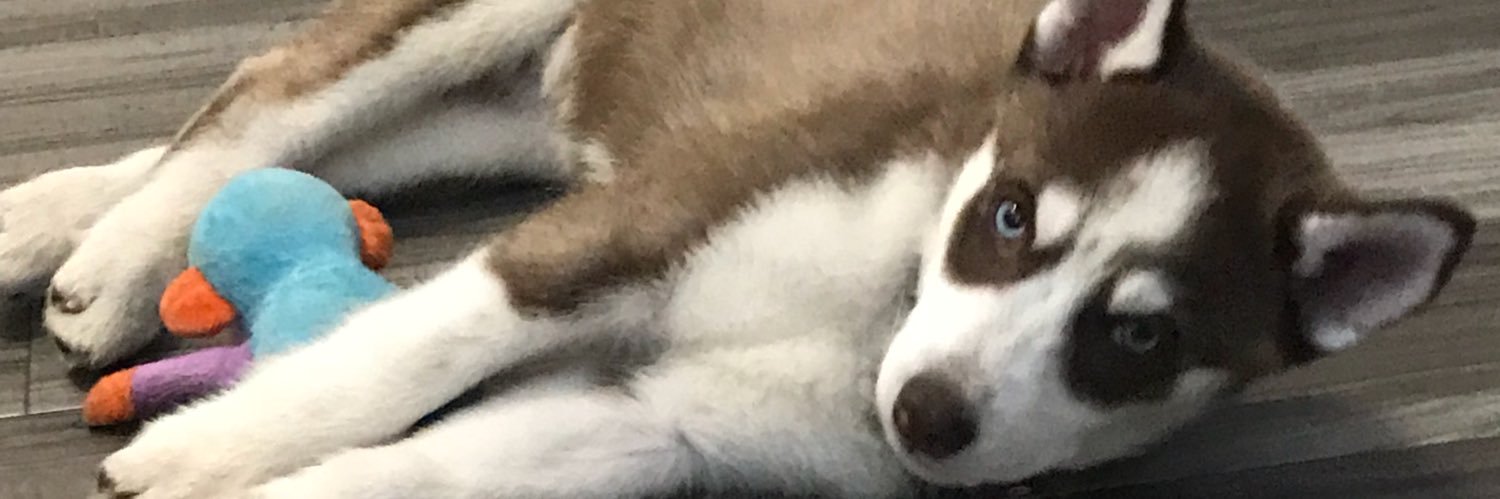 Reina_Hermosaa's profile banner image