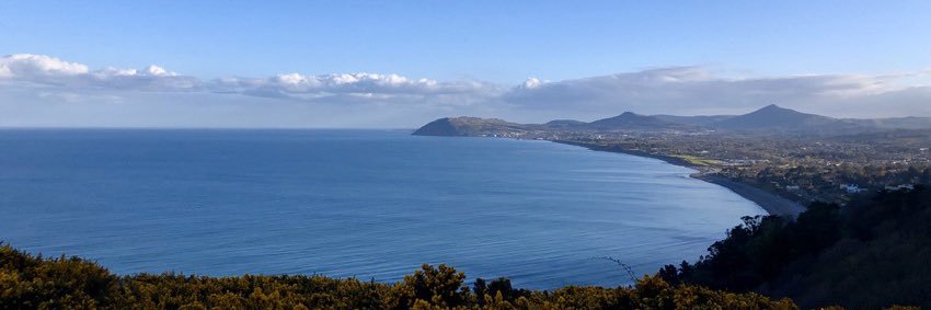 Cathal Rigney banner