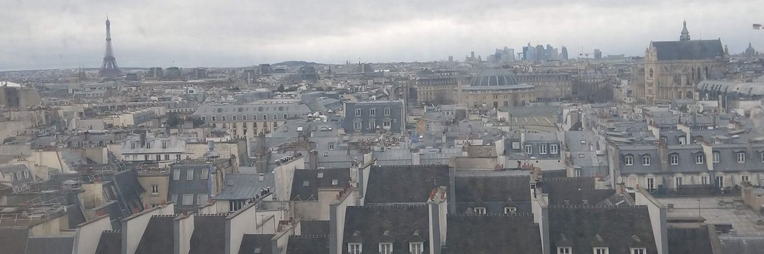 Dr. Véronique Sina banner