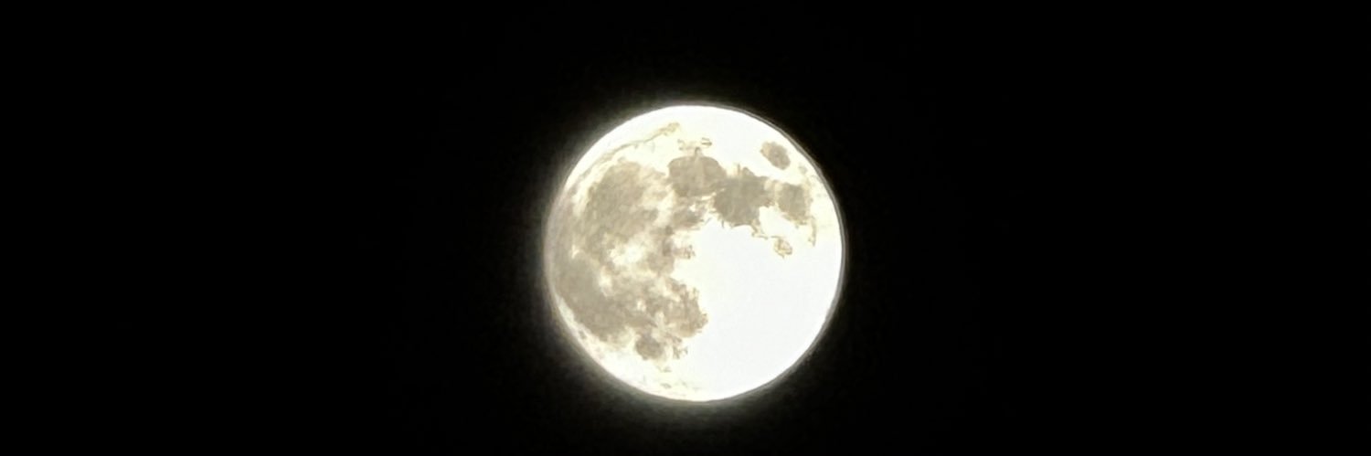 firemoonliz's profile banner image