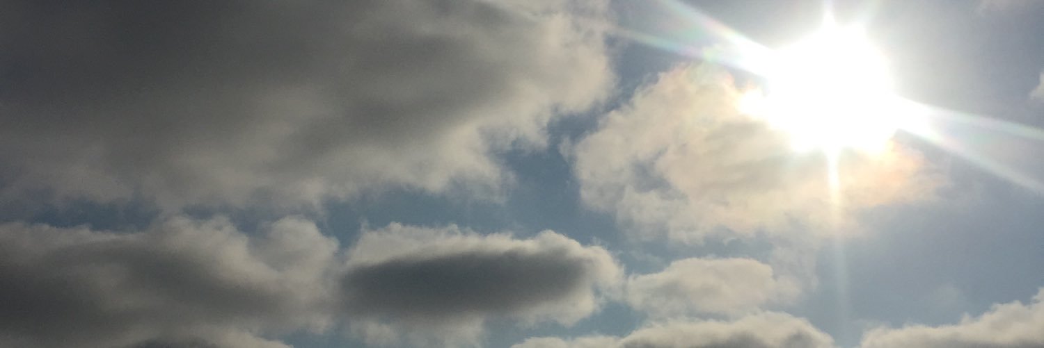 lo_scam's profile banner image