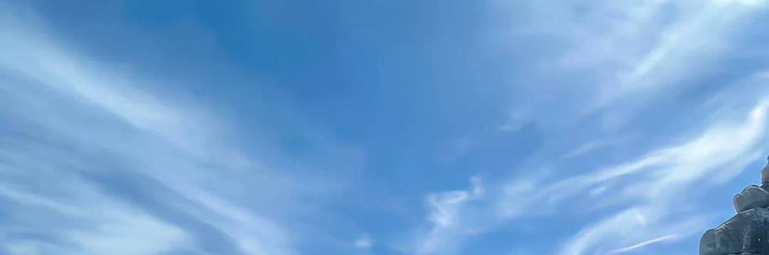 糯米小薯条🍟 banner