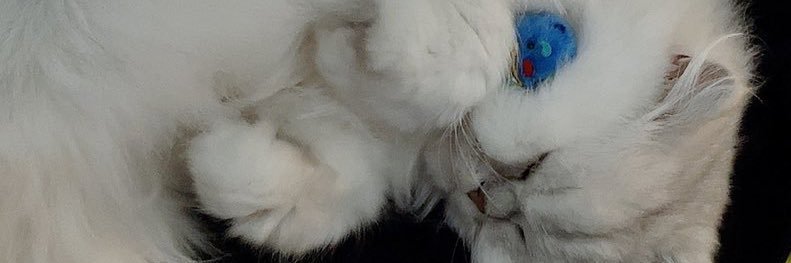 Cal0Po46Oh2's profile banner image