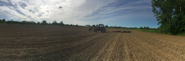 myrandamorrison Profile Banner