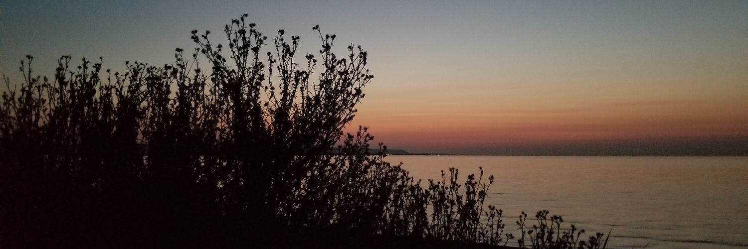 dulys_tik's profile banner image
