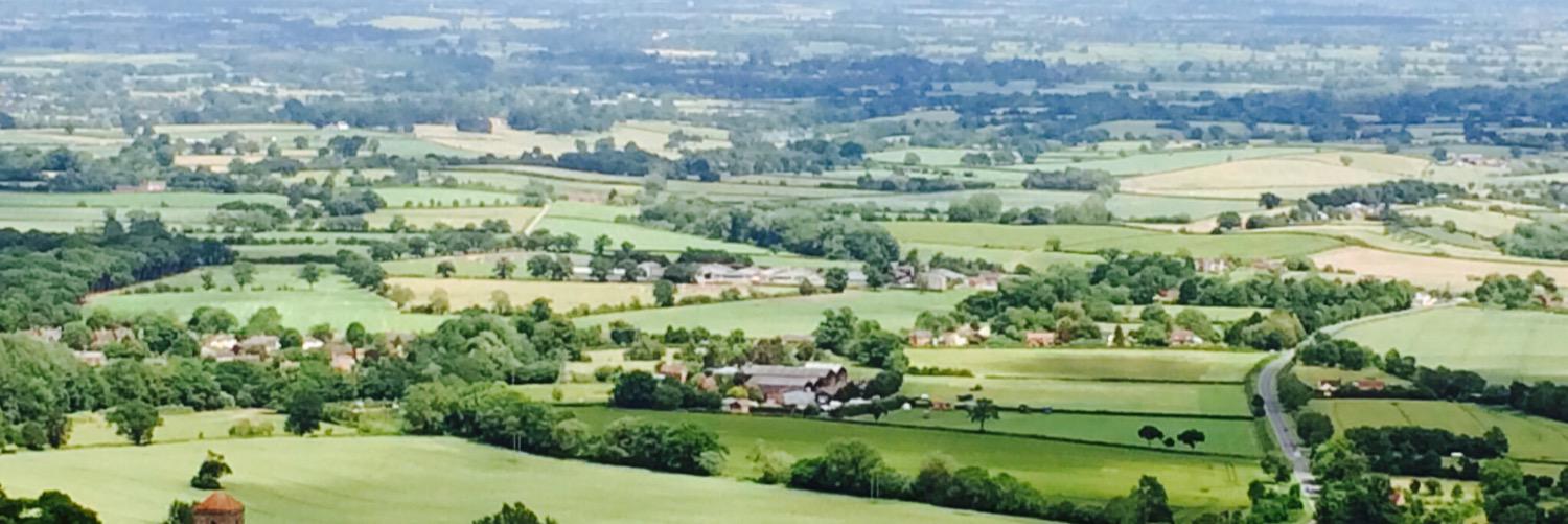 James Bisby banner