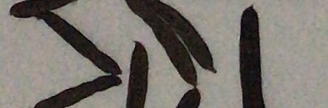 bénédicte brusset banner