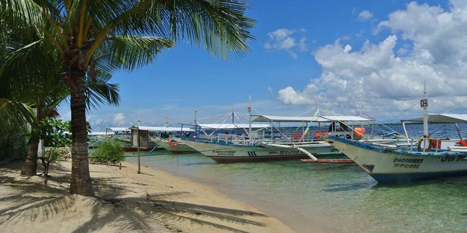 Sabrina Fernandez banner