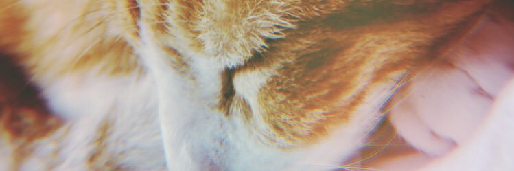 LisaKissesLiam's profile banner image