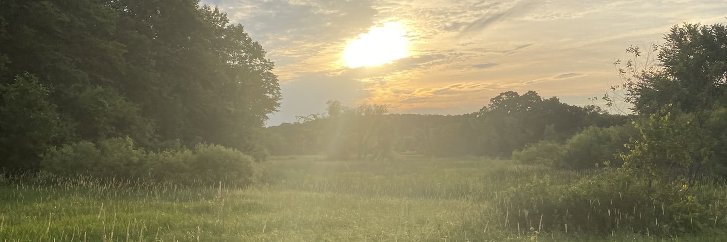 Ellie Larson banner