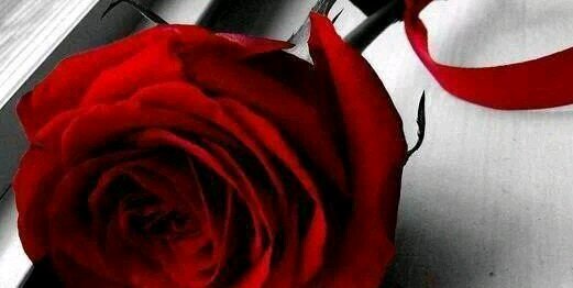 elena gogea banner