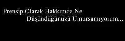 𝖊𝖈𝖒𝖊𝖑 🐾 banner