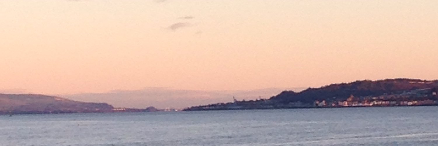 Alison Mathew banner