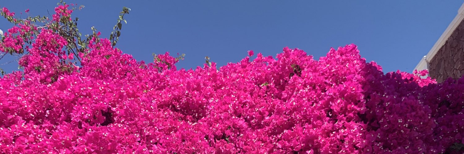 anaiiis_45's profile banner image