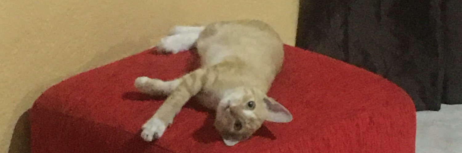 asjerome_'s profile banner image