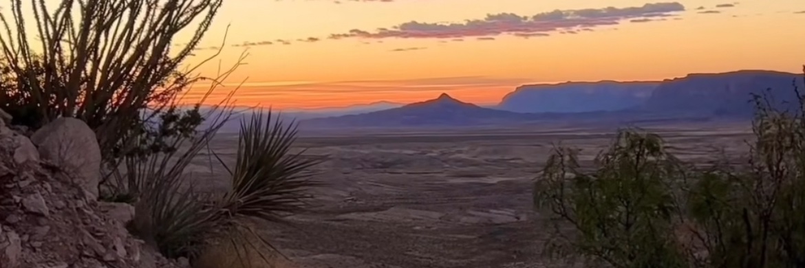 SandlSandlin's profile banner image
