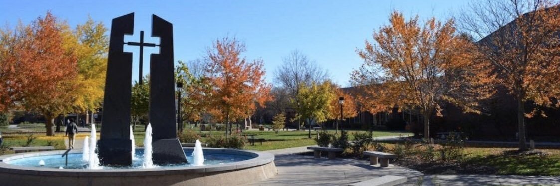 Cameron Poolton banner