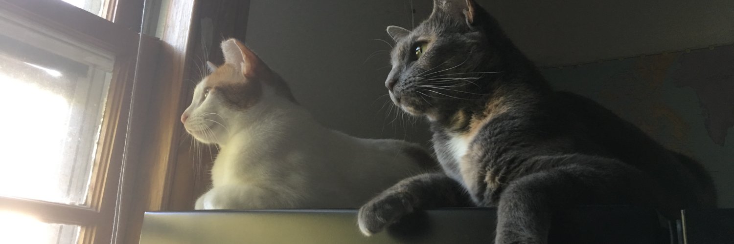 TweeetingJeff's profile banner image