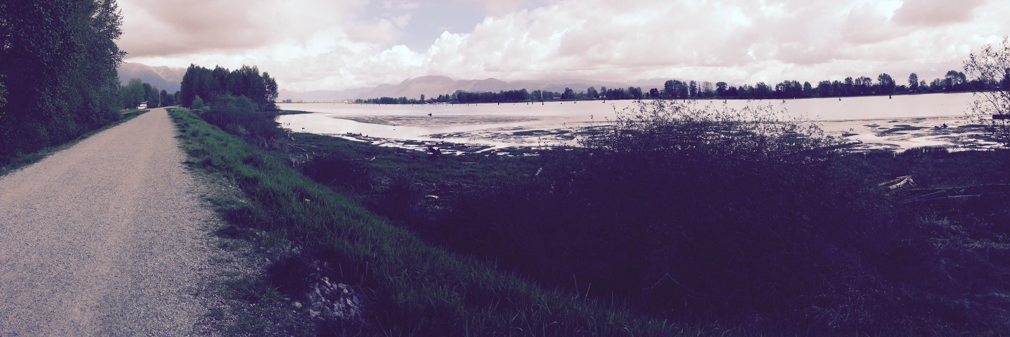 jeanlomas's profile banner image