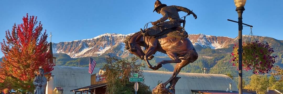 American Cincinnatus banner