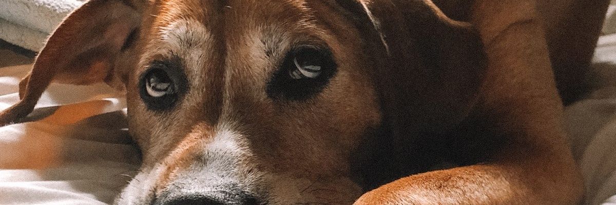 whhhit13's profile banner image