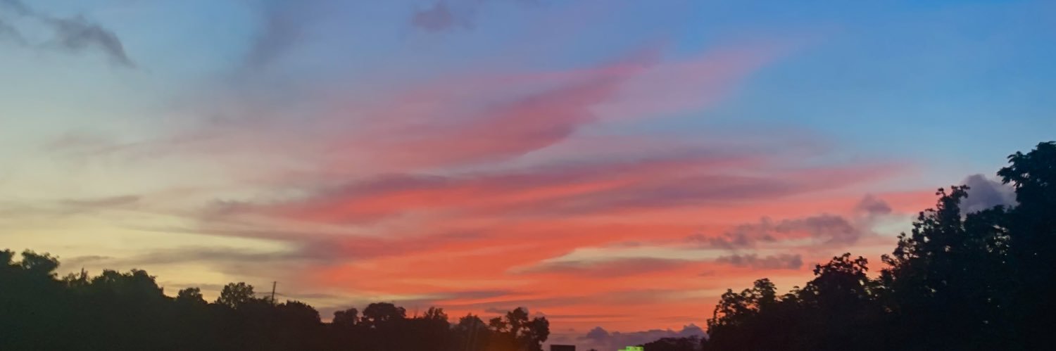 LeahGommel's profile banner image