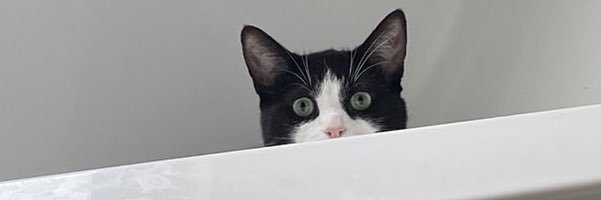 UrelDon's profile banner image