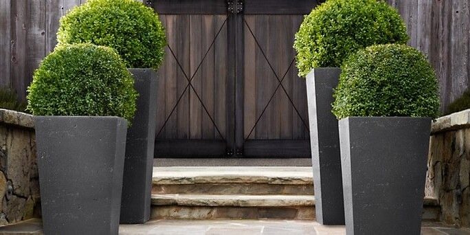bluegrass + boxwood banner