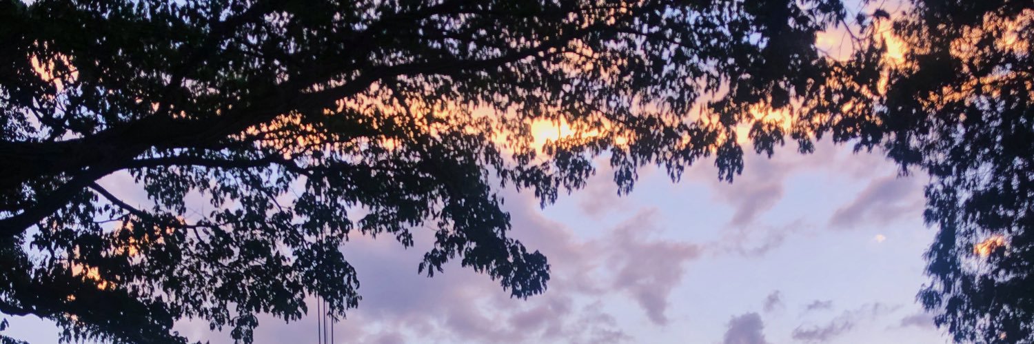 yoliz___'s profile banner image